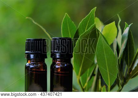 Laurel Oil.bay Leaf Oil. Laurel Essential Oil.glass Brown Bottles Set And Laurel Leaves On A Green B
