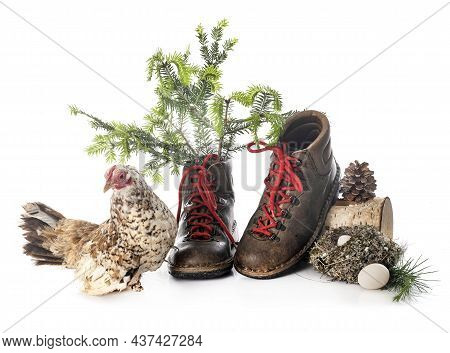 Hiking Shoes In Front Of White Background