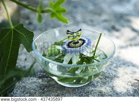 Passion Flower In Water For Making Plant Tincture