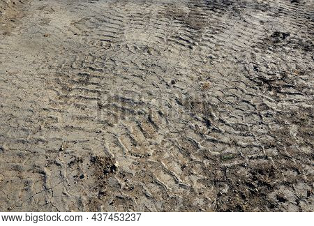 Hard And Compacted Soil Has Long Been Driven By Excavators And Heavy Trucks. Tire Wear. The Soil Mus