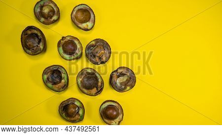 Rotten Avocado Halves On Yellow Background. Food Fruits Cannot Be Eaten. Overripe Avocado Fruit Cuts