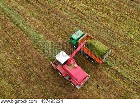 Forage Harvester During Grass Cutting For Silage In Field. Harvesting Biomass Crop. Self-propelled H