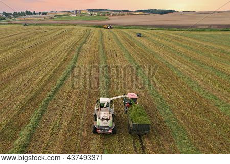 Forage Harvester During Grass Cutting For Silage In Field. Harvesting Biomass Crop. Self-propelled H