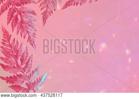 Aesthetic leaves on pink border background