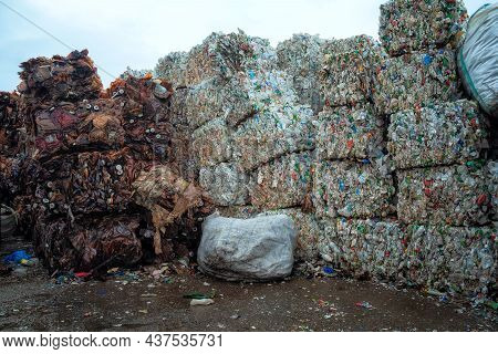 Bundle Of Pressed Plastic Bottles Prepared For A Garbage Recycling On Waste Recycling Plant. Camera 