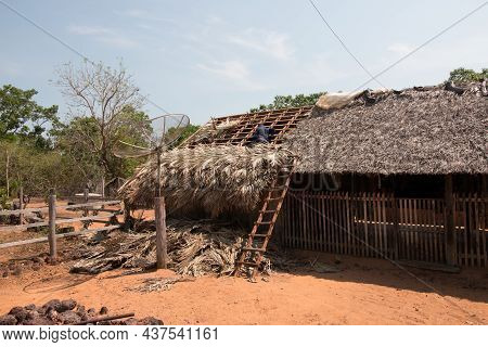 Man Reattaching A Roof With Palm Branches Near The City Of Carolina, Brazil In The State Of Maranhao