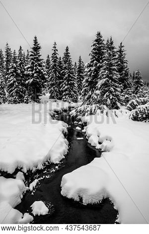 Winter In Jizera Mountains. Snowy Landscape With Trees And Small Creek. Czech Republic