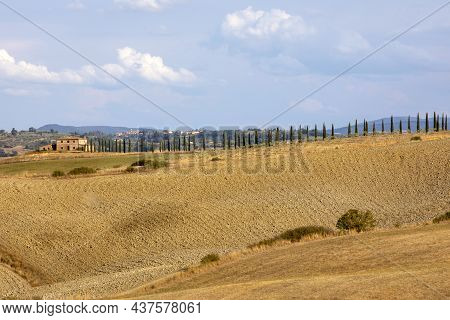 Val D' Orcia (si), Italy - August 05, 2021: Typical Landscape In Val D' Orcia, Tuscany, Italy