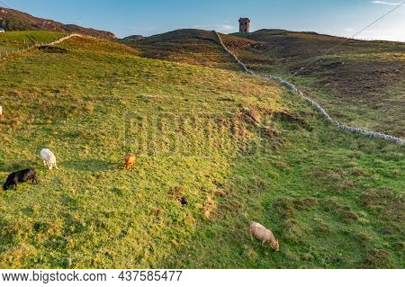 Farming Under The Crohy Head Signal Tower In County Donegal - Ireland