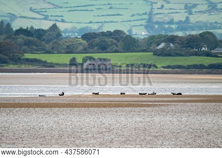 The Great Seal Bank In Sligo - Ireland