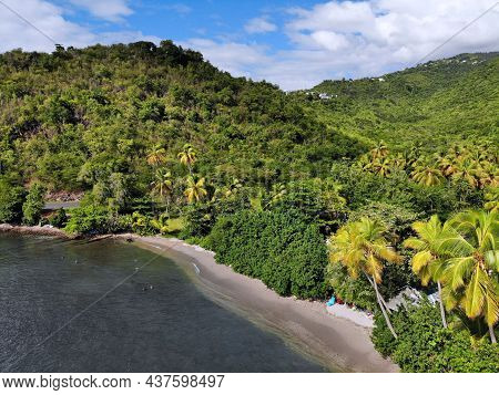 Guadeloupe Beach Drone View. Beach Bay Aerial View In Marigot.