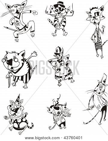 Gatos Locos