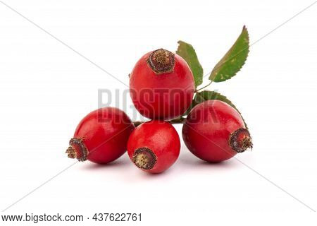 The Rosehip Isolated On White Background. Fresh Raw Berries With Leaves.