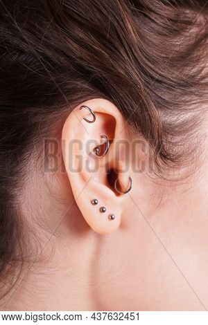 Ear With Earrings Including Helix Rook Tragus And Lobe Piercings