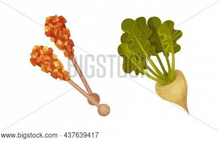 Caramelized Brown Sugar On Wooden Stick And Sugar Beet As Sweet Snack Vector Set