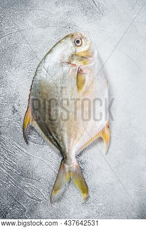 Fresh Raw Fish Pompano On Kitchen Table. White Background. Top View