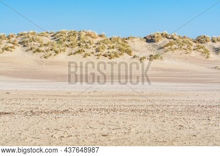 View On White Sandy Dunes Of North Sea Beach In Renesse In Sunny Day, Zeeland, Netherlands