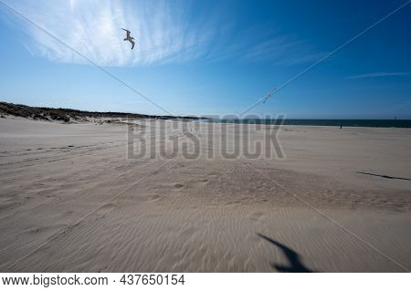 View On Wide White Sandy North Sea Beach In Renesse, Zeeland, Netherlands