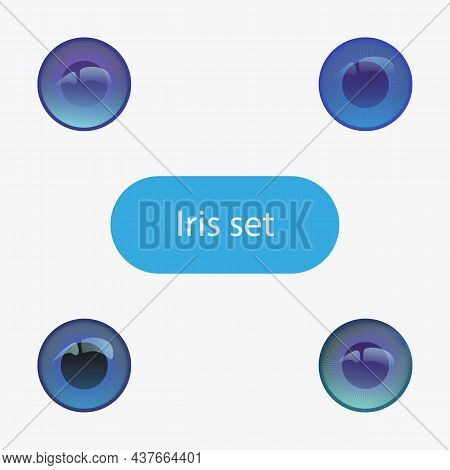 Iris Of The Eye Set. Flat Vector. Blue Colored Eye Lenses. Flat Design For Store. Icons, Eye Logo. M