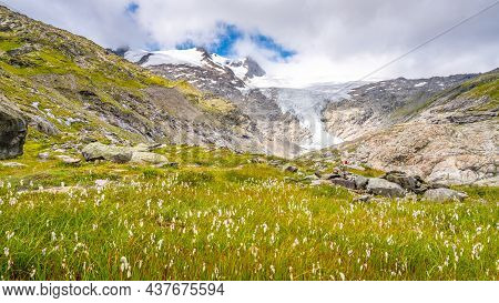 Mountain Landscape With Cottongrass Meadow And Schlatenkees Glacier On Background. Hohe Zaun In Vene