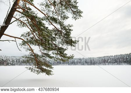 Beautiful View Of Ice Covered Balzis Lake. Snowy Pine Forests Surrounding A Small Lake. Winter Lands