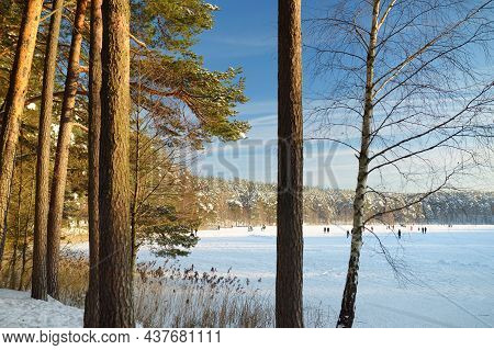 Beautiful View Of Ice Covered Balzis Lake. Snowy Pine Forests Surrounding A Small Lake. Winter Lands