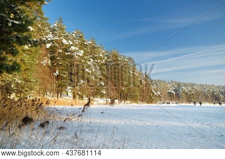 Beautiful View Of Ice Covered Balzis Lake. Snowy Pine Forests Surrounding A Small Lake. Winter Lands