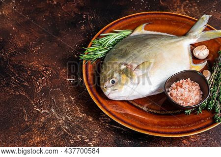 Fresh Raw Florida Pompano Fish On A Rustic Plate. Dark Background. Top View. Copy Space