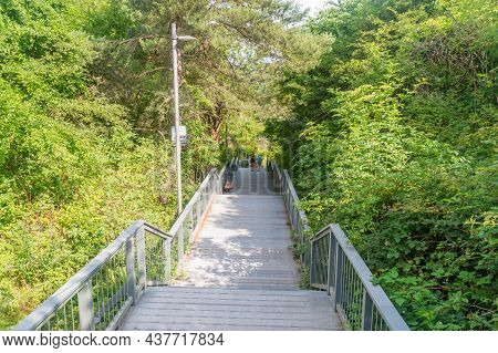Chlapowo, Poland - July 21, 2021: Wooden Steps, Stairs At Summer Time. Walking Path Between Trees.