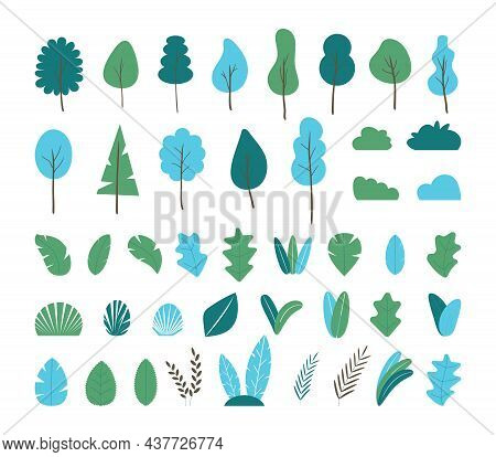 Big Set Of Trees. Plants, Trees, Tropical Leaves Collection Vector. Branches, Bushes, Fir Signs. Jun