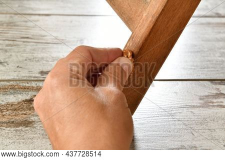 Get rid of scratches with walnut   