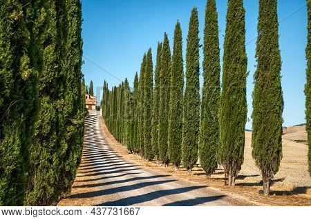 Bagno Vignoni, Tuscany, Italy. August 2020. The Amazing Landscape Of The Avenue With The Cypresses O