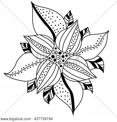 Decorative Flower. Vector Linear Illustration. Floral Decorative ...