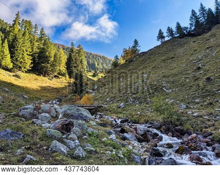 Beautiful Autumn Mood. Lark Forest With A Fresh Mountain Stream Above Monstein. Nature Landscape In 