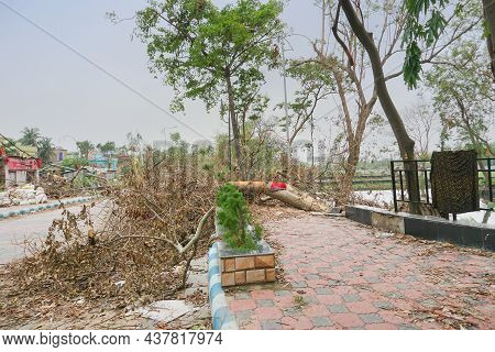 Howrah, West Bengal, India - 31st May 2020 : Super Cyclone Amphan Uprooted Tree Which Fell And Block
