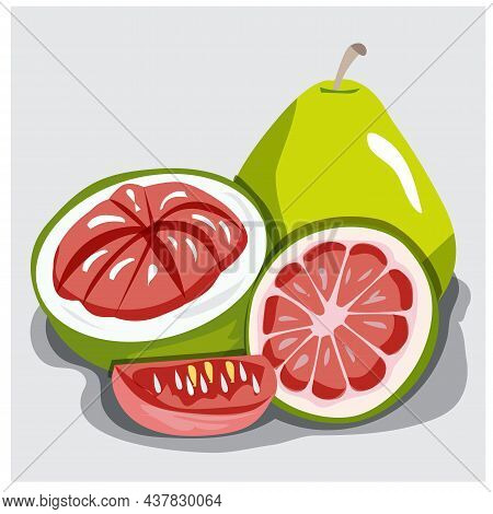 Illustrations Grapefruit In Shape And Peel. Suitable For Cards, Menus, Food, Posters, Other Media De