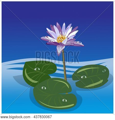 Illustration Of Lotus With Lotus Leaf On The Water. Suitable For Cards, Posters, Other Media Design.