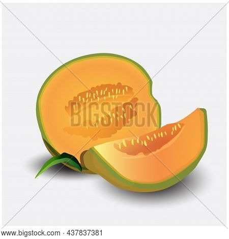 Illustration Vector Fruit Shape Cantaloupe With Leaves Good Health Useful For Making Posters Icons S