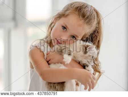 Little child girl holding ragdoll kitten and hugging it. Pretty female kid with feline domestic kitty pet at home