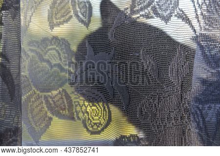 Silhouette Of A Black Cat On The Window Through The Curtain