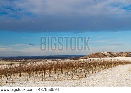 Winter landscape near Popice, Southern Moravia, Czech Republic
