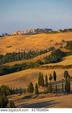 Cipressi di Monticchielo, Typical Tuscan landscape near Montepulciano, Italy