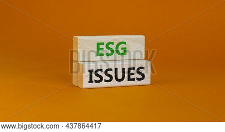Esg Environmental Social Governance Issues Symbol. Concept Words Esg Issues On Blocks On A Beautiful