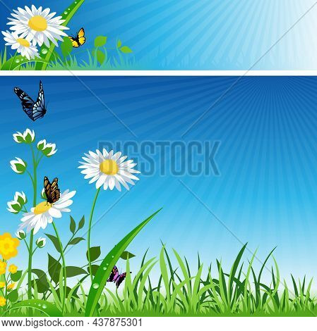 Spring Background And Banner With Grass And Blooming Flowers With Butterflies - Background With Blue
