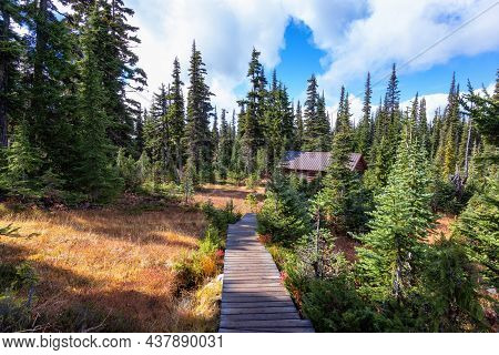 Hiking Trail Outdoors In Canadian Nature. Sunny Fall Season. Taken In Garibaldi Provincial Park, Loc
