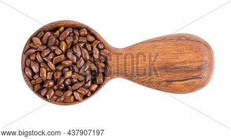 Cassia Tora Beans In Wooden Spoon, Isolated On White Background. Sicklepod Or Senna Obtusifolia. Cli