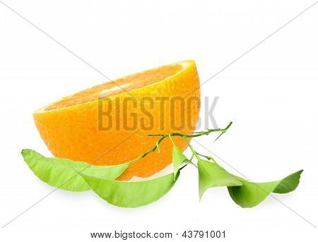 Halh Orange i oddziału