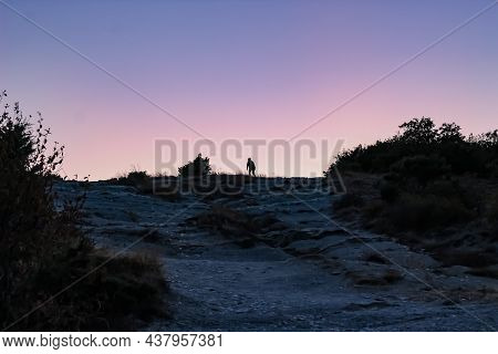 A Black Silhouette Of A Stranger On A Mountainside In The Purple Twilight