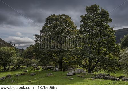 Beautiful Late Summer Afternoon Landscape Image Of Trees In Field With Low Sunlight Glowing Through 