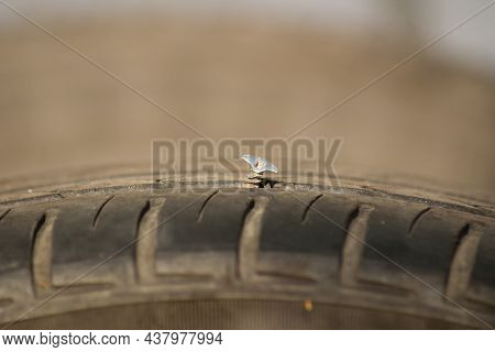 Punctured Car Wheel. Puncture Of Car Wheel, Steel Screw Is In Tyre, Close-up View